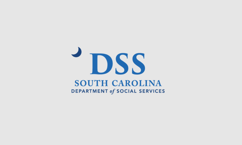 DSS logo with gray background