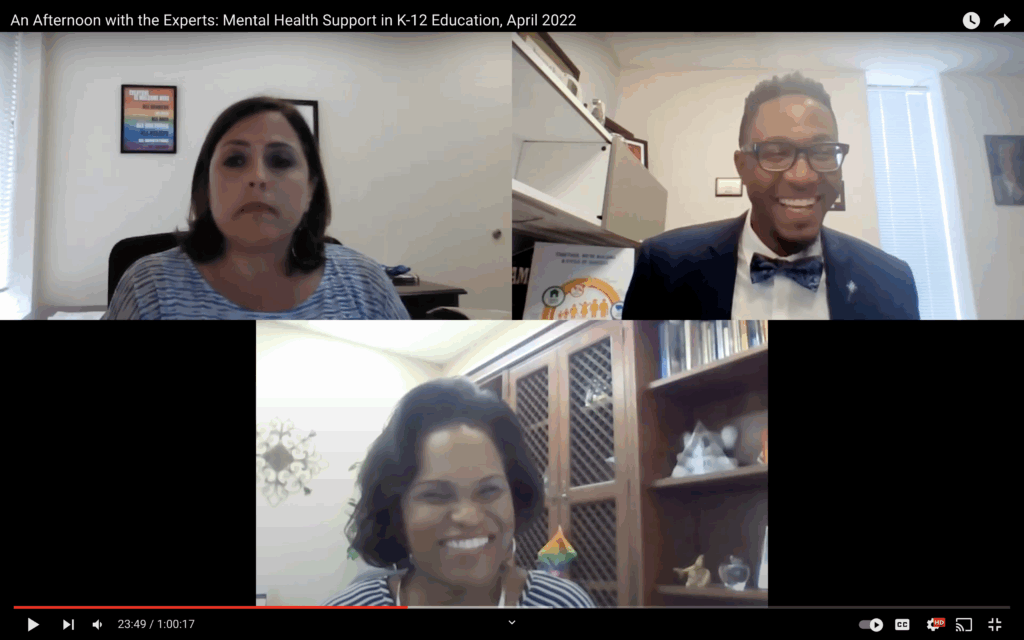 Screenshot of the Afternoon with the Experts event