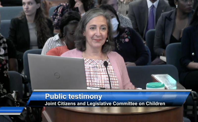 Sue Williams at the SC Statehouse giving testimony