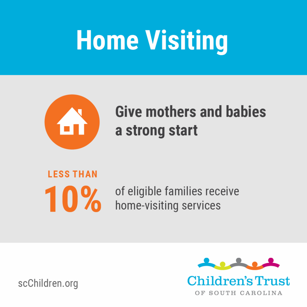 Home Visiting. Giving mothers and babies a strong start. Less than 10% of eligible families receive home-visiting services. scChildren.org.
