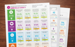 Samples of 3 county data profiles fanned across a wooden desk.