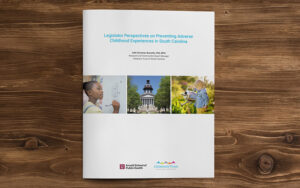 Brochure mockup of Legislator Perspectives on Preventing Adverse Childhood Experiences in South Carolina.
