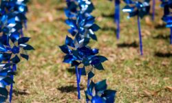 KD-Pinwheels-6-250×150-c-default