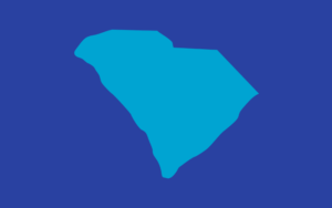 State_icon_South-Carolina-Child-Fatality-Advisory-Committee_colors