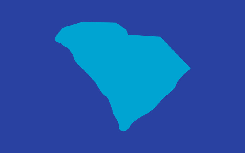 State_icon_South-Carolina-Child-Fatality-Advisory-Committee_colors
