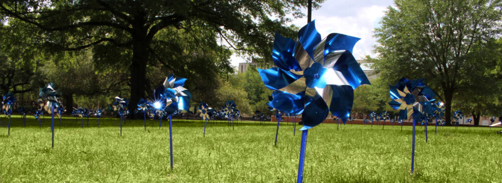 Pinwheels planted at USC April.