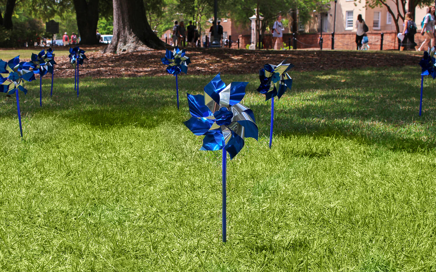 Pinwheels planted at Davis Field, University of South Carolina.
