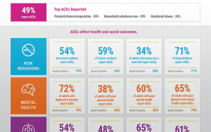 ACE data county profile