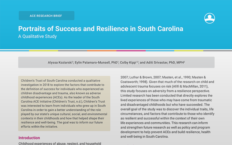 Portraits of Success and Resilience in South Carolina, A Qualitative Study