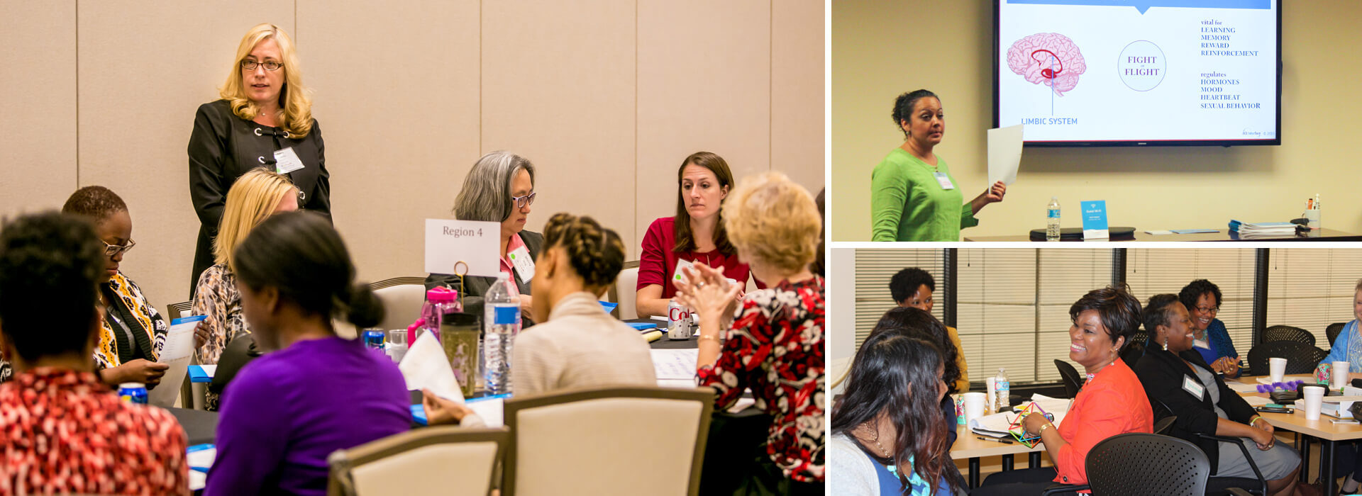 Collage of adverse childhood experience training attendees.