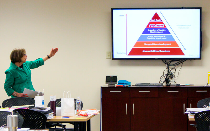 Trainer presents during an ACE master training session.