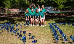 Kappa Delta planting pinwheels at USC