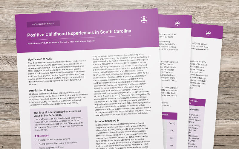 Positive childhood experiences in South Carolina brief fanned across a wood table top.