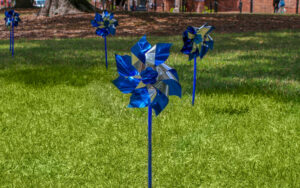 Pinwheel garden at the university of South Carolina.