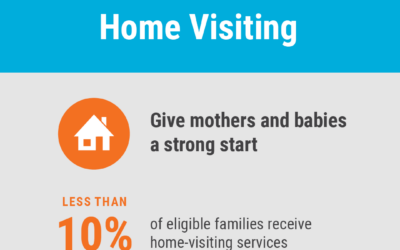 Home Visiting. Giving mothers and babies a strong start. Less than 10% of eligible families receive home-visiting services. scChildren.org.