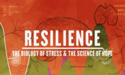 Resilience-The-biology-of-stress-and-the-science-of-hope