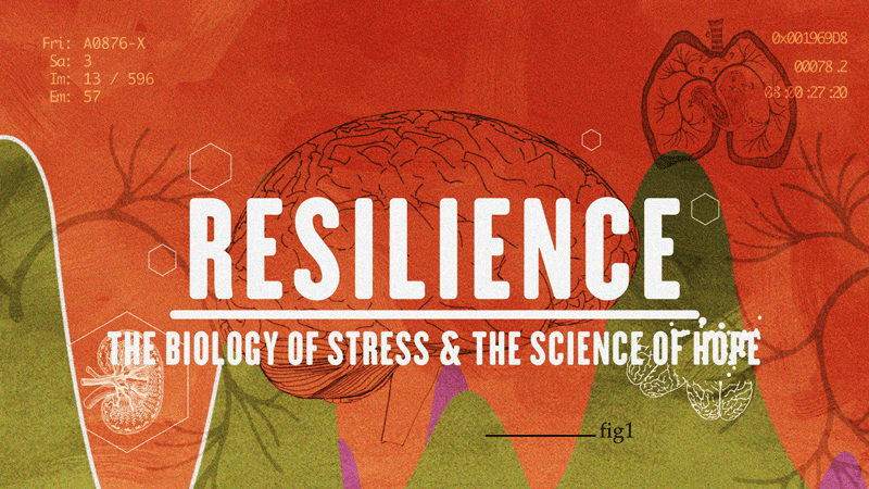 Resilience-The-biology-of-stress-and-the-science-of-hope