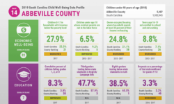SC Child Well-Being Data Profile 2019